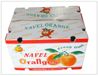Navel oranges-packing